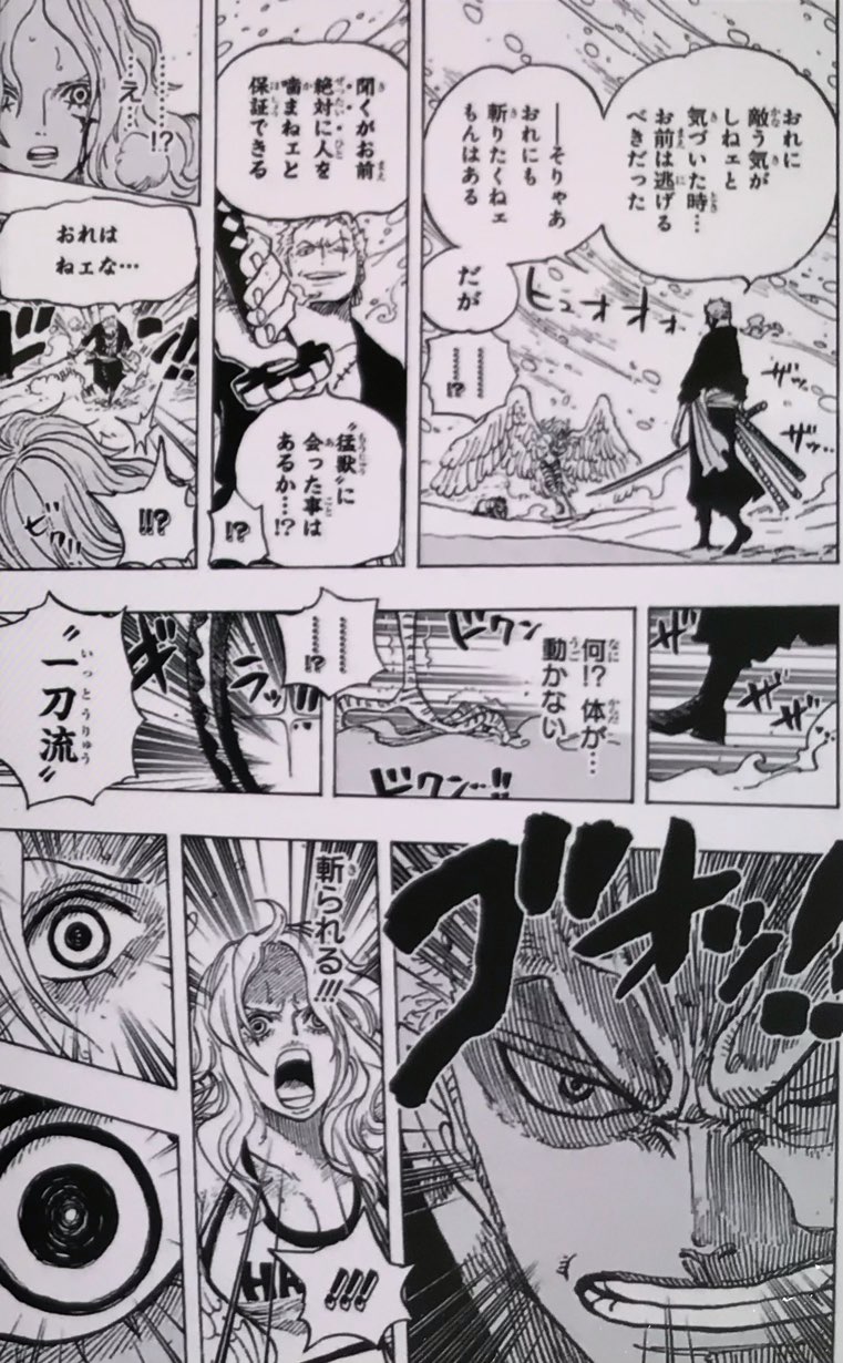 ゾロが纏う覇王色の覇気を覚醒!カイドウと戦える一握りの強者になった麦わらの一味のNo.2!覇王色を使える人物リストを公開 | まとめサイト『青空』